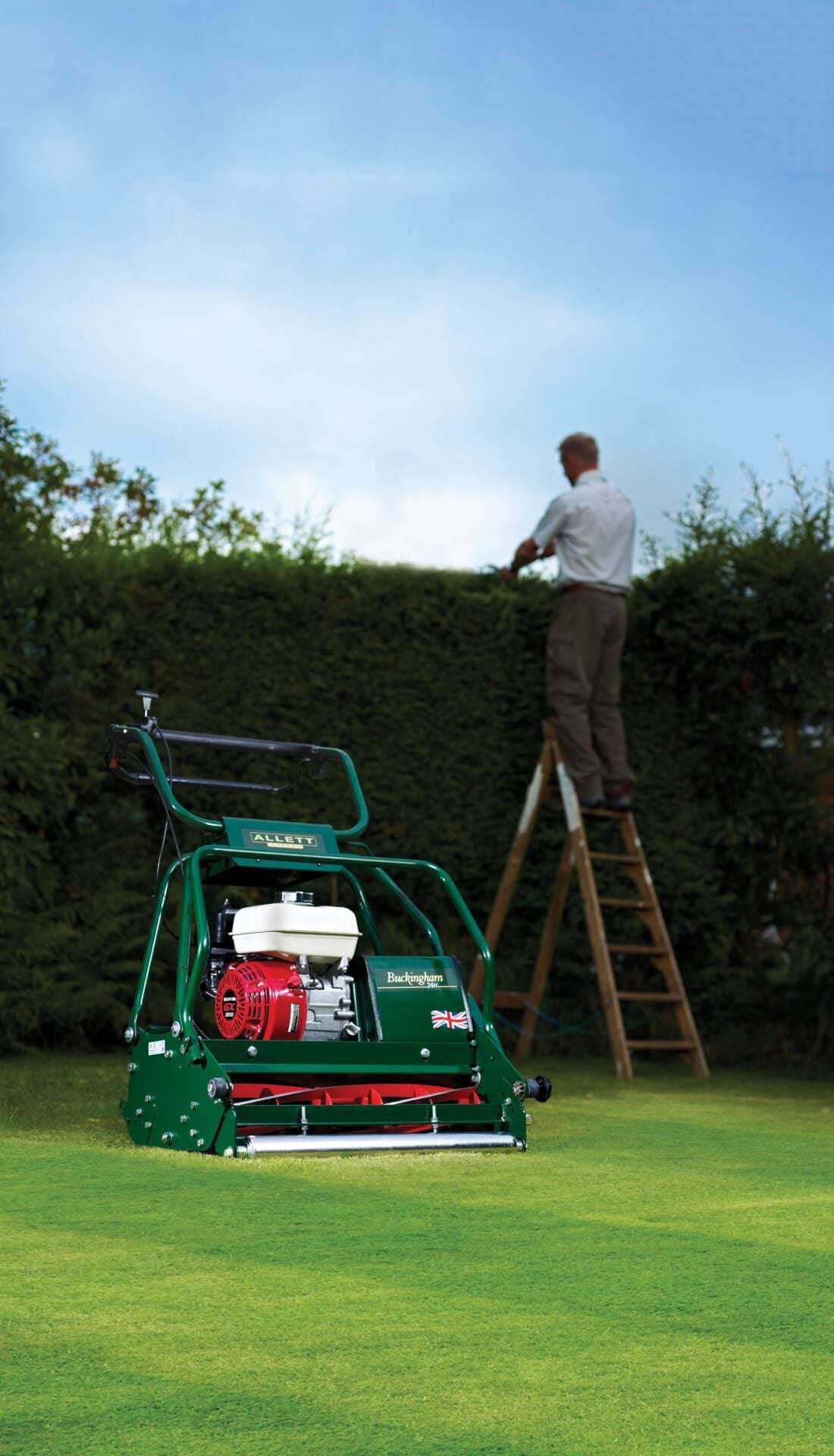 Allett Buckingham 24H Petrol Cylinder Mower