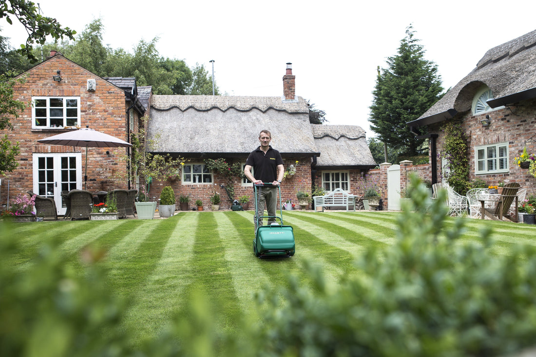 Best way to online get stripes on lawn