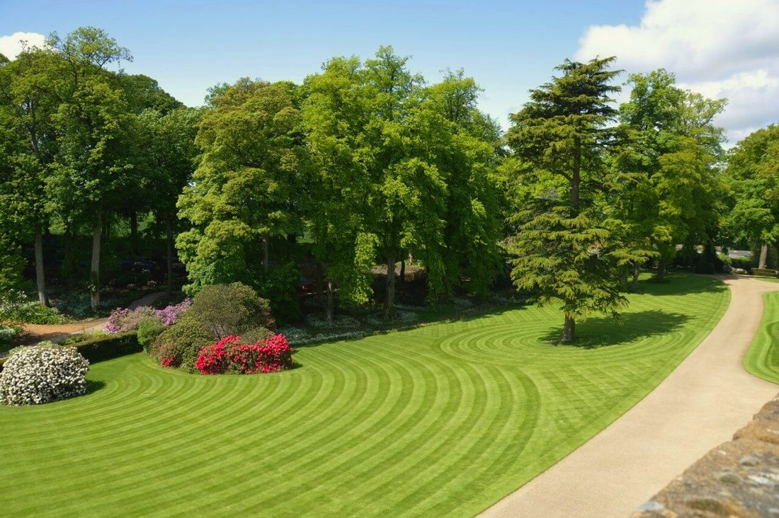 2018 ALLETT CREATIVE LAWN STRIPES COMPETITION DETAILS ANNOUNCED!