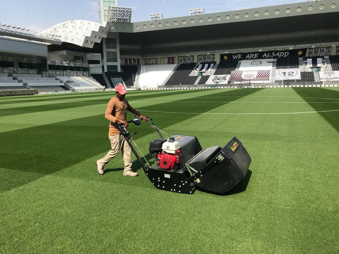 WHAT GRASS IS USED AT THE WORLD CUP?