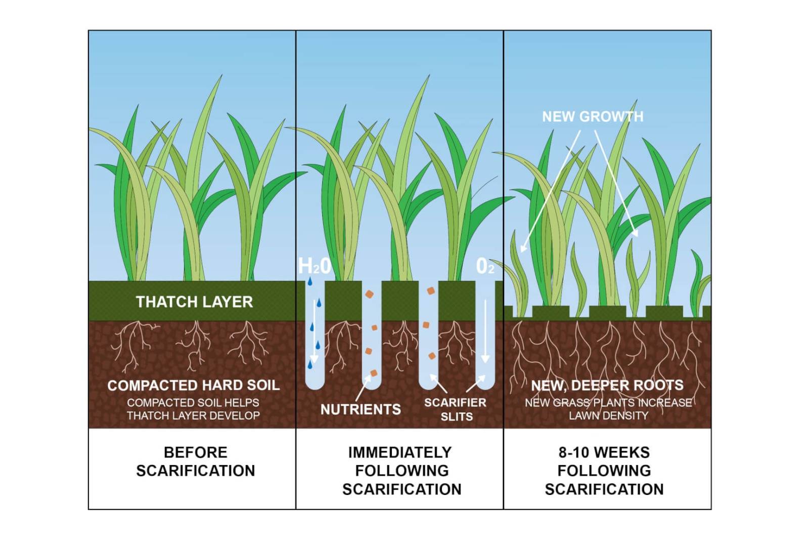 How To Scarify A Lawn – ALLETT Australia